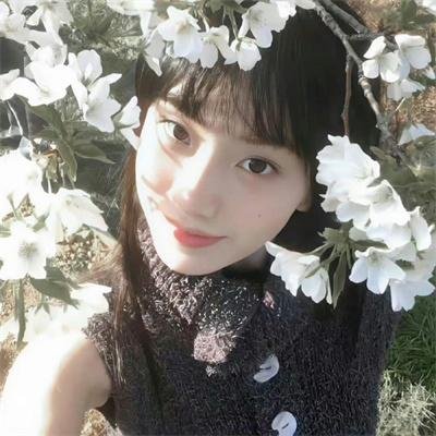 文豪野犬第三季